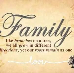 Meet your Posher, Danika